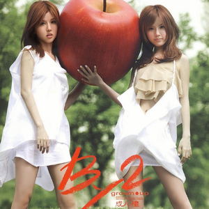 少女BBBBBBBBBB∧V色
